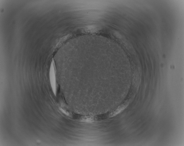 X0000081460624200702021809