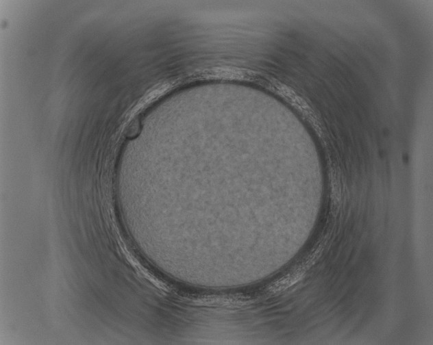 X0000081460625200702021808