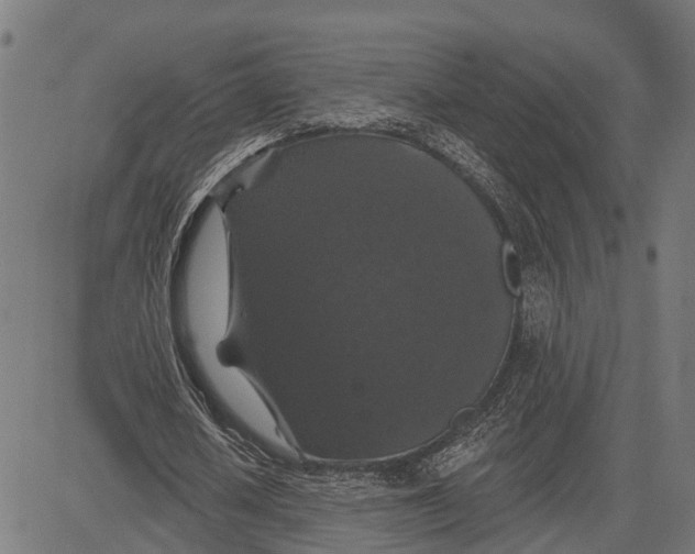 X0000081460626200702021808