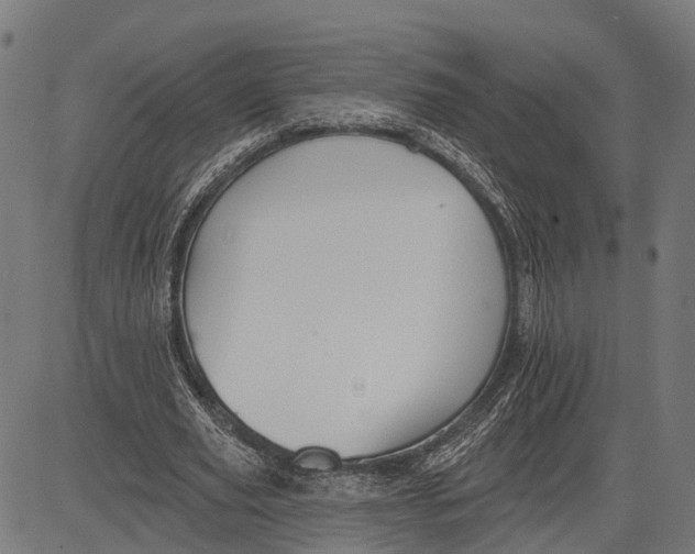 X0000081460629200702021808