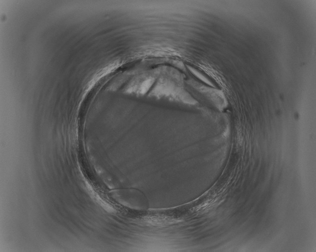 X0000081460630200702021808