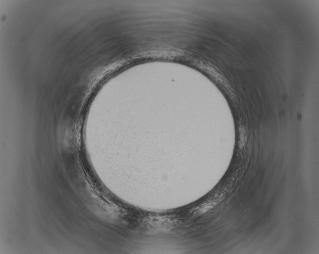 X0000081460632200702021808