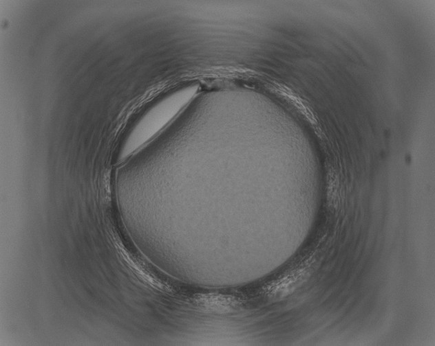 X0000081460633200702021808