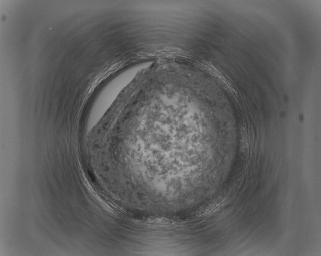 X0000081460634200702021808