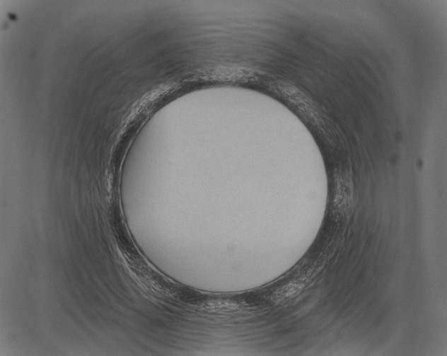 X0000081460636200702021808