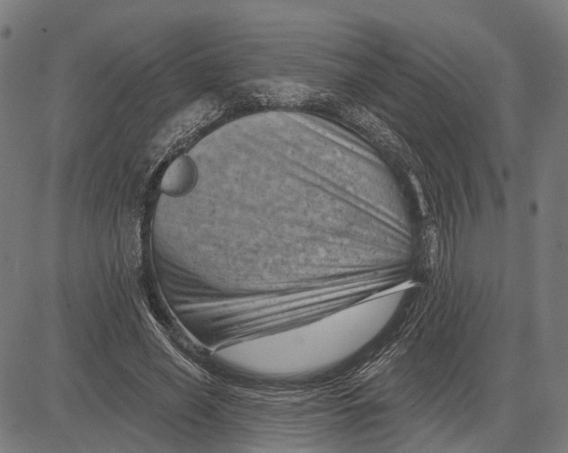 X0000081460638200702021808