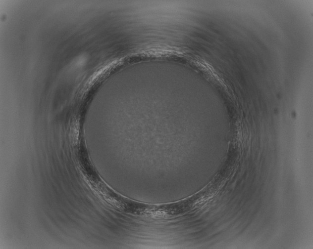 X0000081460640200702021808