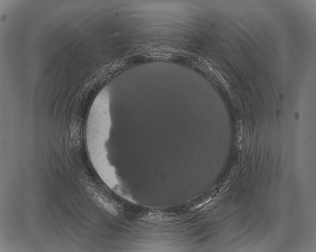 X0000081460641200702021808