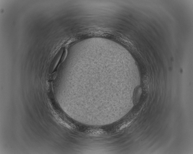 X0000081460642200702021808