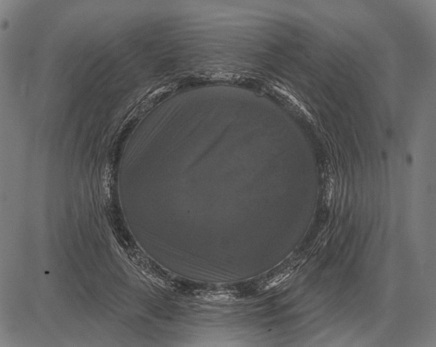 X0000081460643200702021808