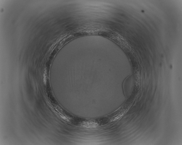 X0000081460644200702021808