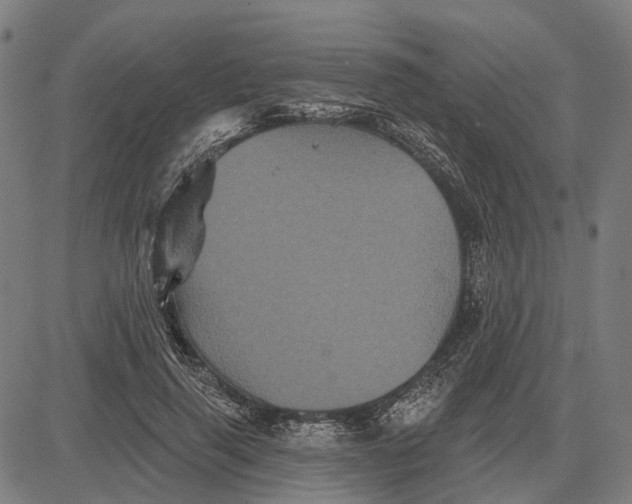 X0000081460645200702021808