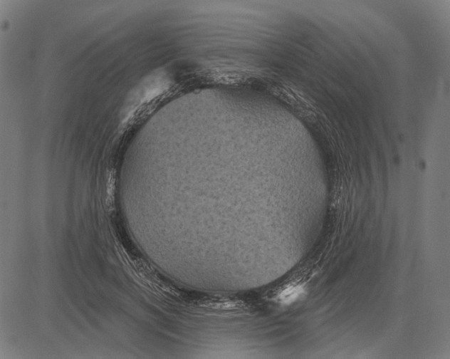 X0000081460646200702021808