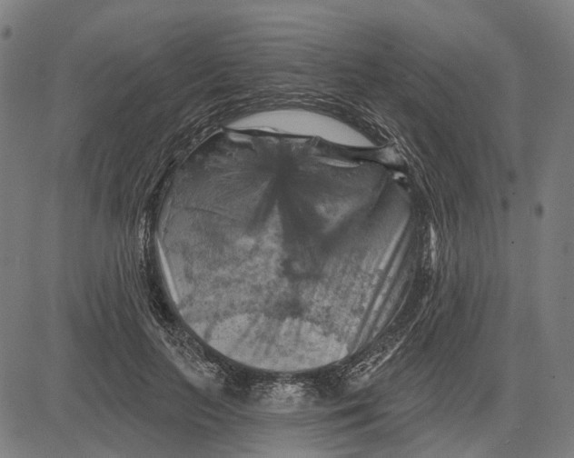 X0000081460647200702021808