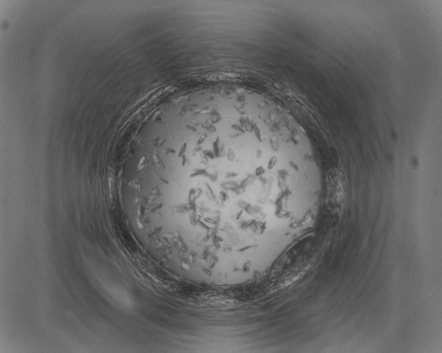 X0000081460648200702021808