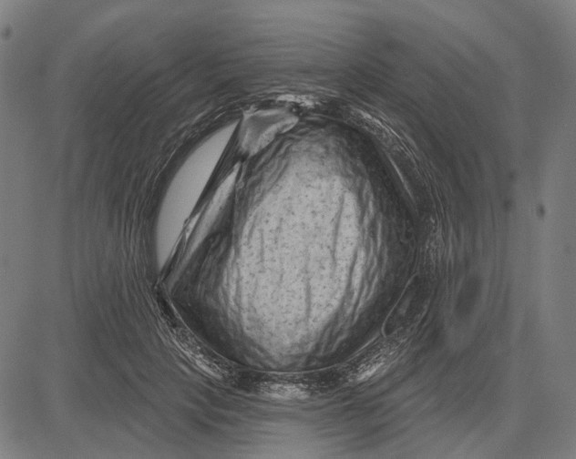 X0000081460649200702021808