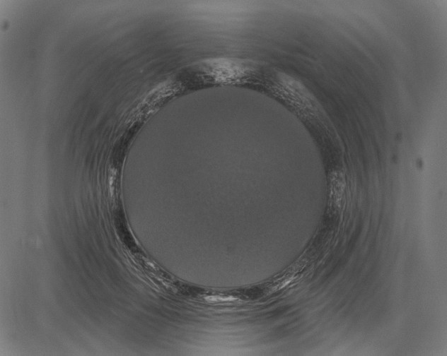 X0000081460650200702021808