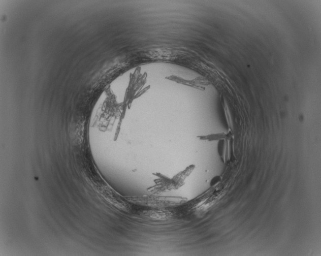 X0000081460652200702021808