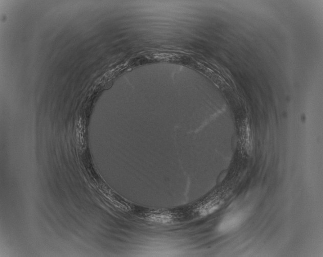 X0000081460653200702021808