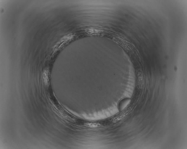 X0000081460654200702021808