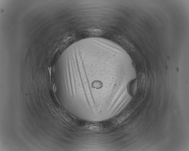 X0000081460655200702021808