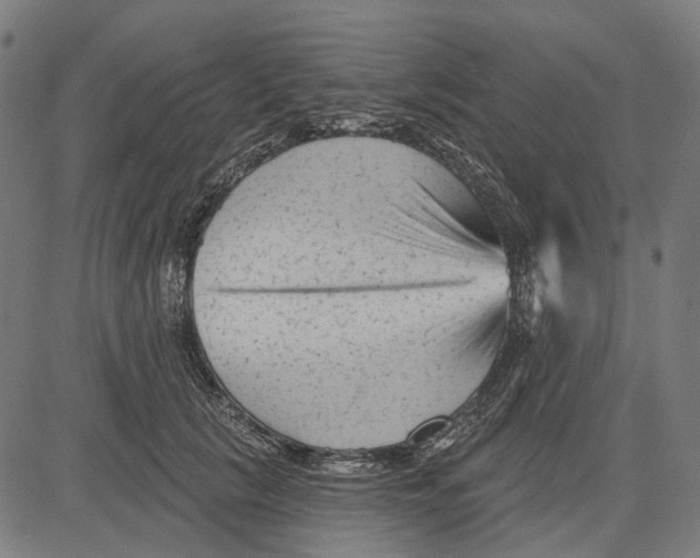 X0000081460657200702021809