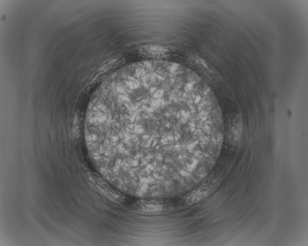 X0000081460658200702021809