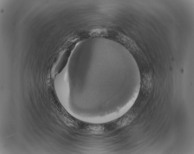 X0000081460659200702021809