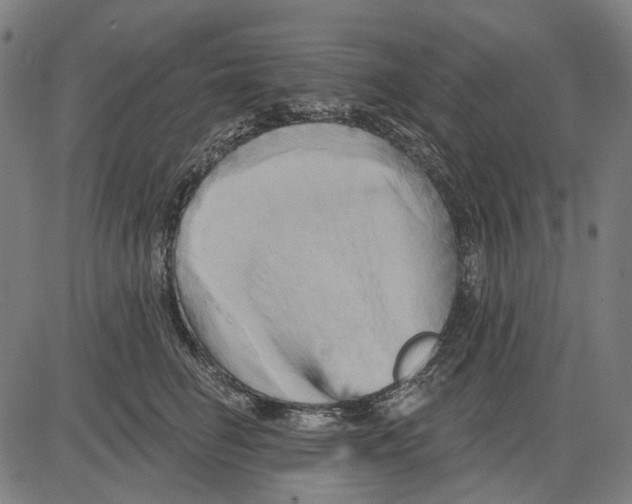 X0000081460662200702021809