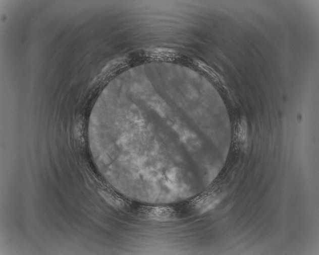 X0000081460663200702021809