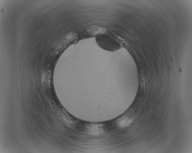 X0000081460664200702021809