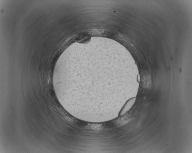 X0000081460665200702021809