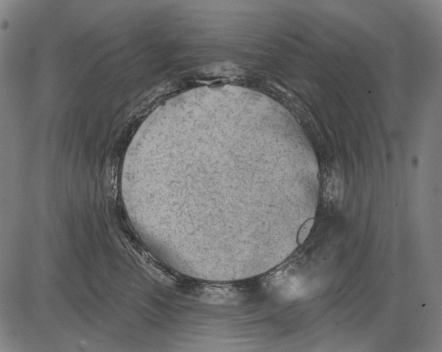 X0000081460666200702021809