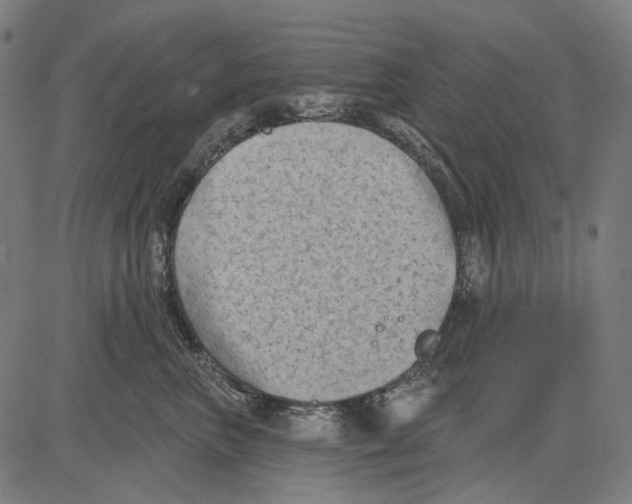 X0000081460667200702021809