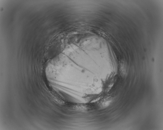 X0000081460668200702021809