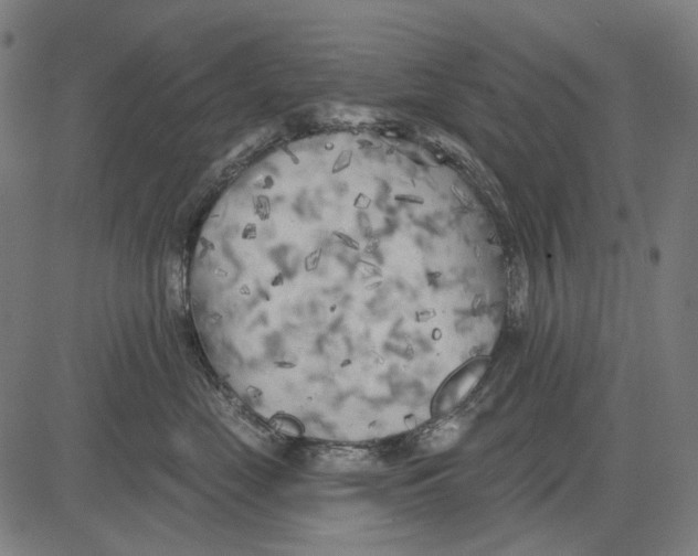 X0000081460669200702021809