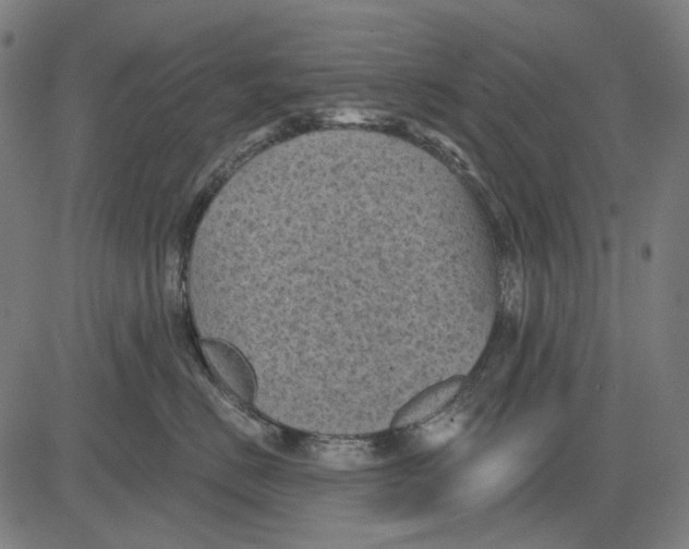 X0000081460670200702021809