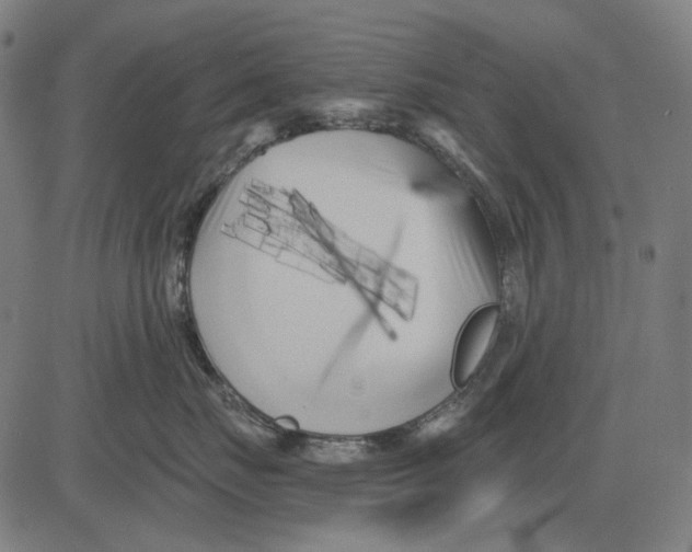 X0000081460671200702021809