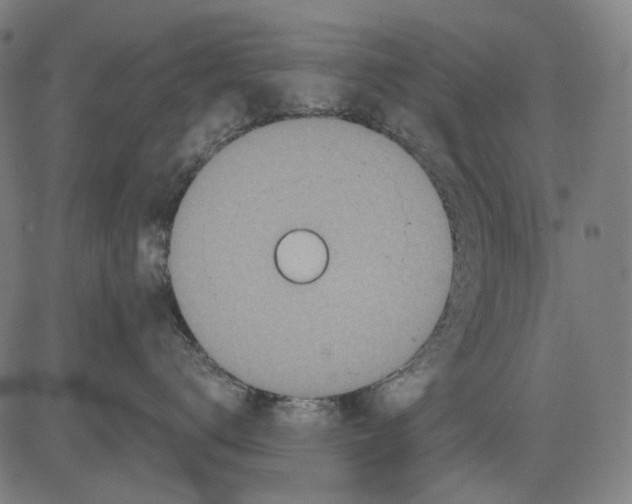 X0000081460672200702021809