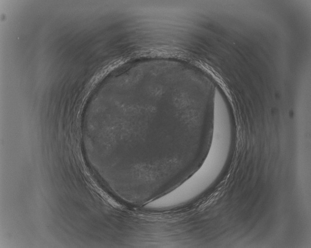 X0000081460673200702021808