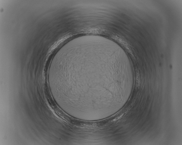 X0000081460674200702021808