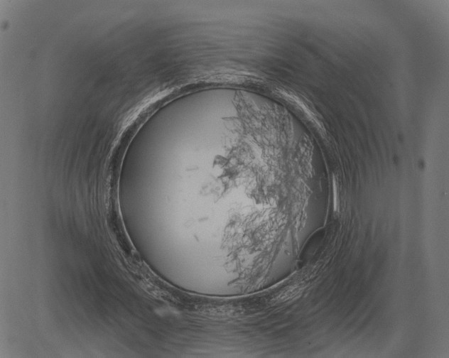 X0000081460675200702021808