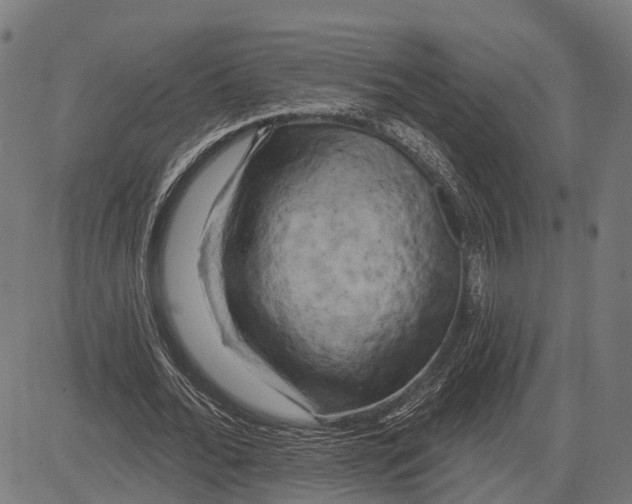 X0000081460676200702021808