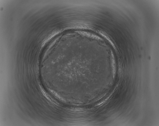 X0000081460677200702021808