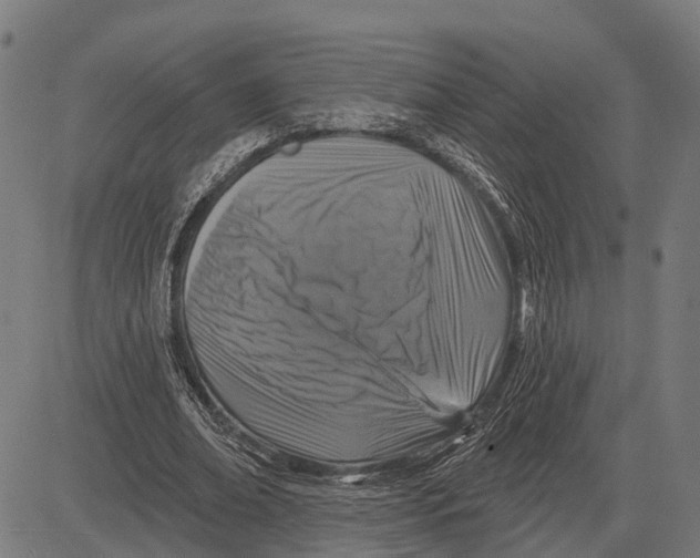 X0000081460678200702021808