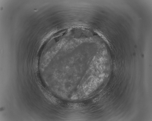 X0000081460679200702021808