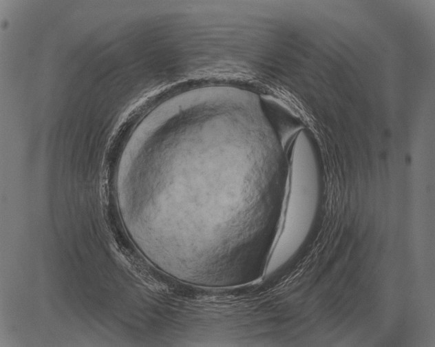 X0000081460680200702021808