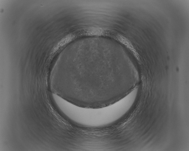 X0000081460681200702021808