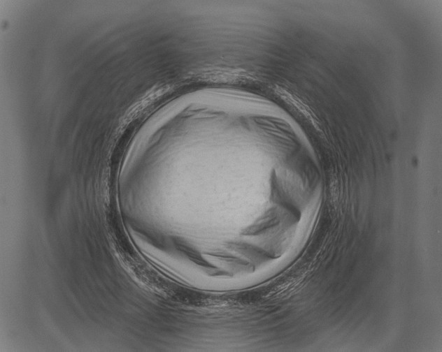 X0000081460682200702021808