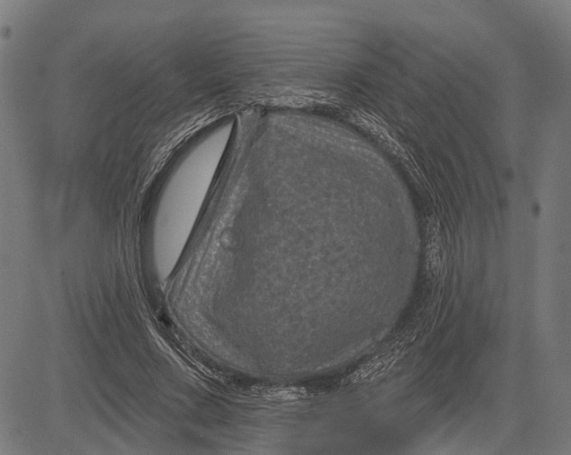 X0000081460683200702021808